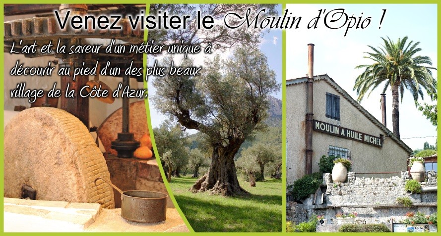 Visite